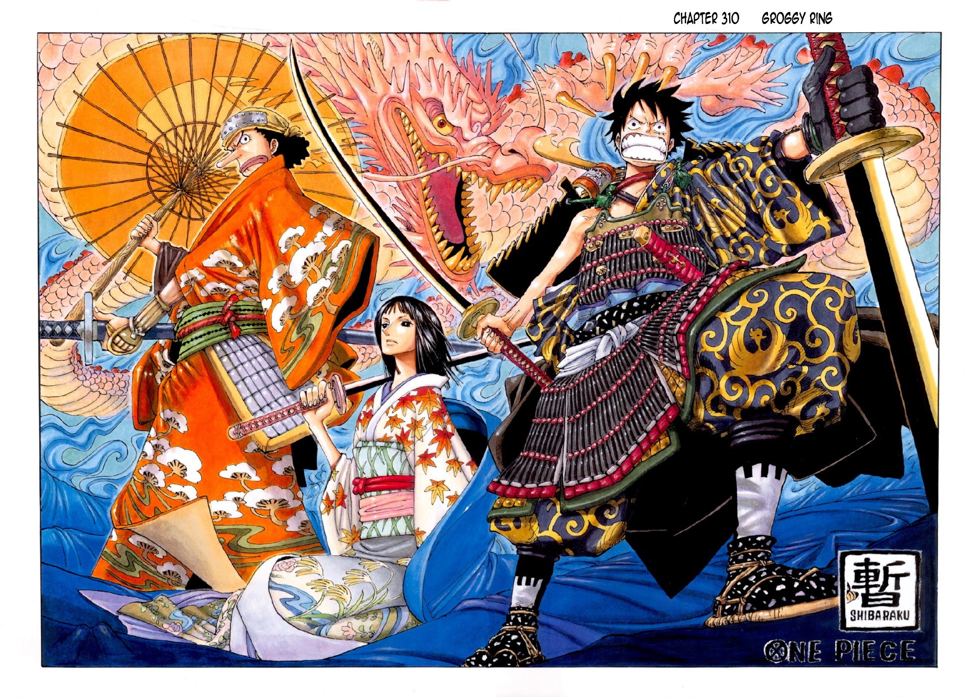 One Piece Digital Colored Chapter 310 image 02